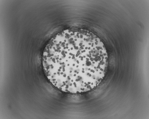 X0000111370282200908071220