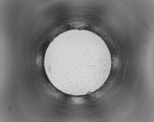 X0000111370283200908071220