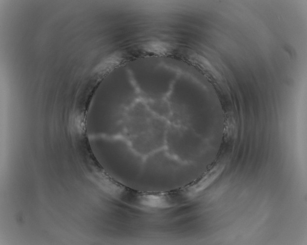 X0000111370285200908071220