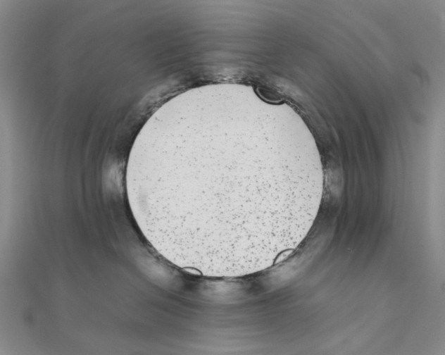 X0000111370286200908071220