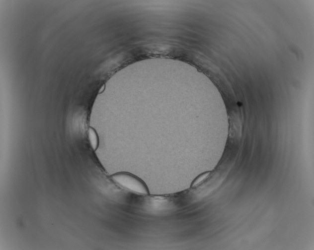 X0000111370287200908071220