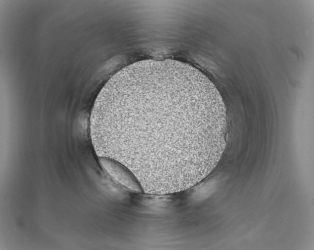 X0000111370288200908071220