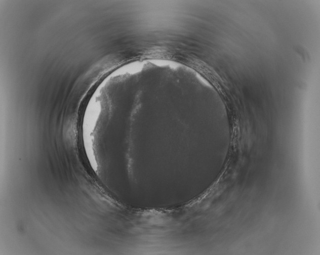 X0000111370290200908071220