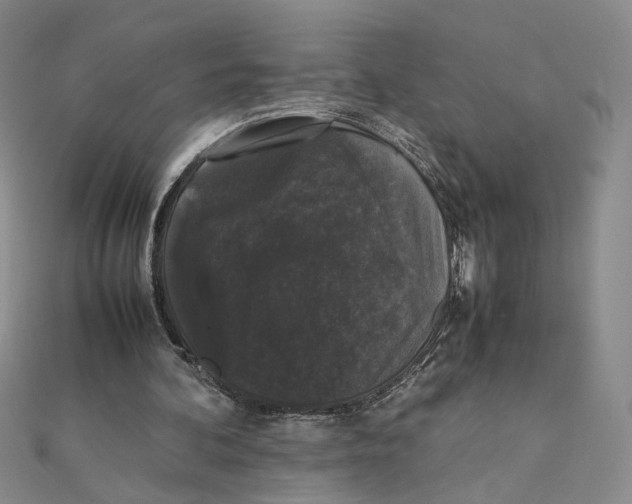 X0000111370292200908071220