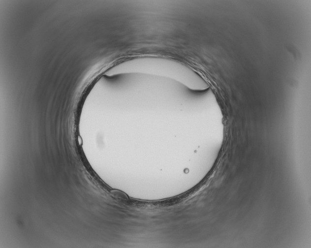 X0000111370293200908071220