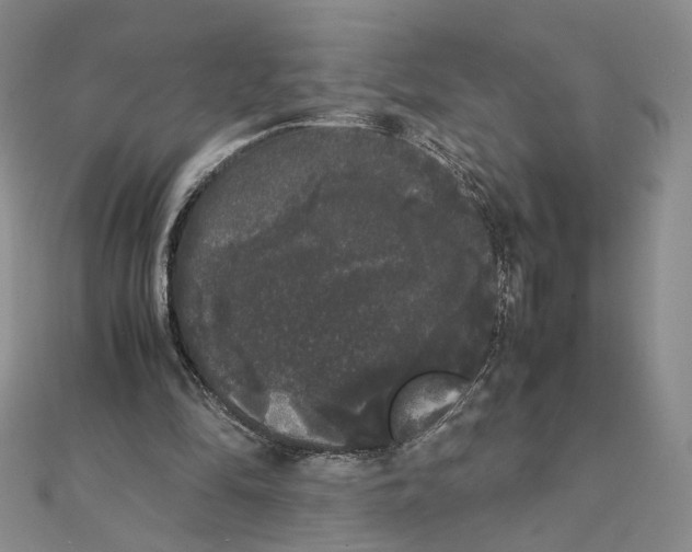 X0000111370294200908071220
