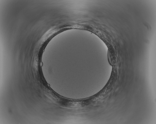 X0000111370295200908071220