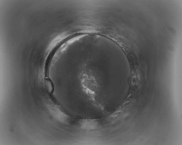 X0000111370296200908071220