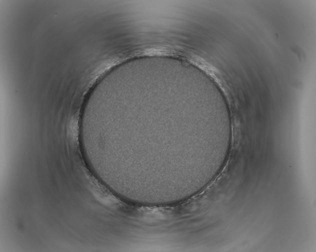 X0000111370297200908071220
