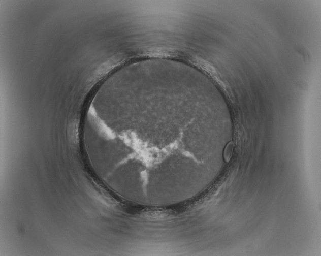 X0000111370299200908071220