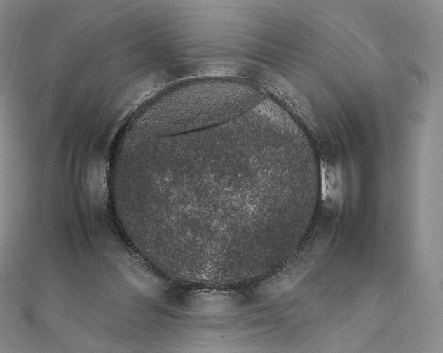 X0000111370300200908071220