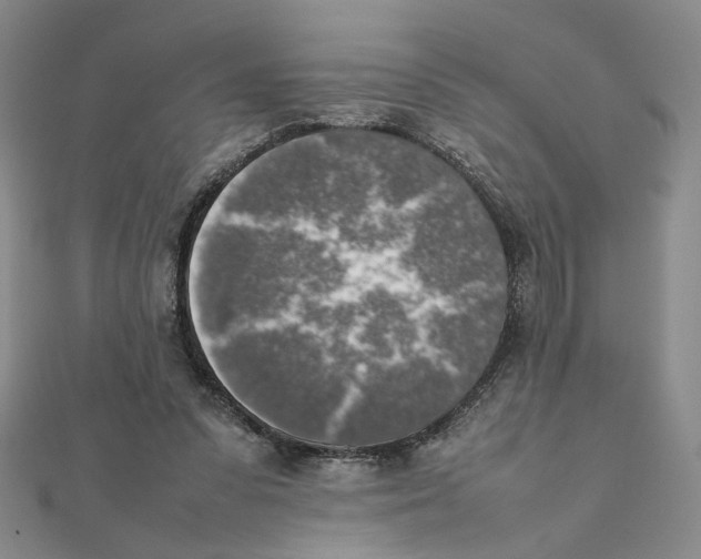 X0000111370303200908071220