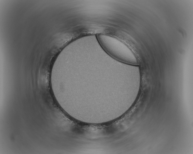 X0000111370305200908071219