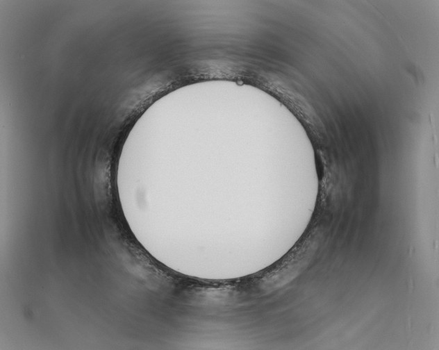 X0000111370306200908071219