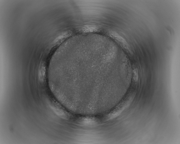 X0000111370308200908071219