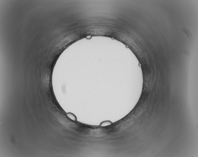 X0000111370309200908071219