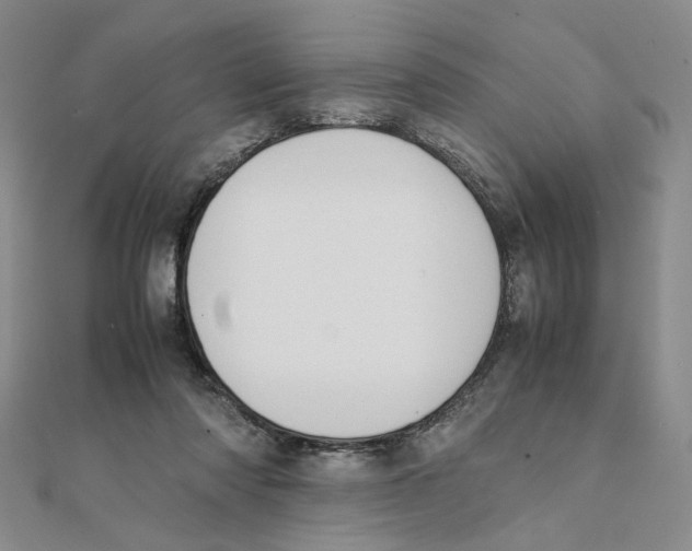 X0000111370310200908071219