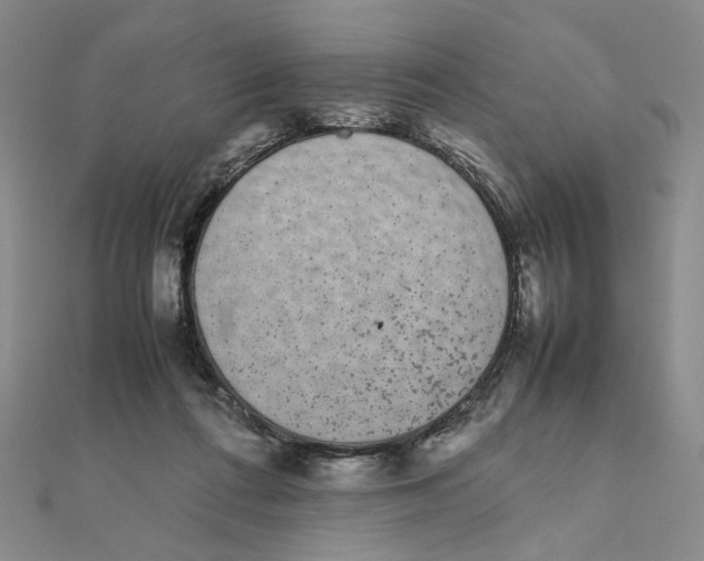 X0000111370312200908071219
