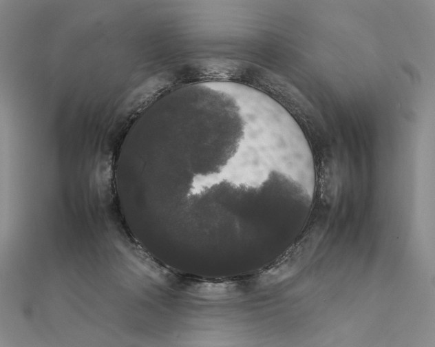 X0000111370314200908071219