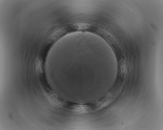 X0000111370316200908071219