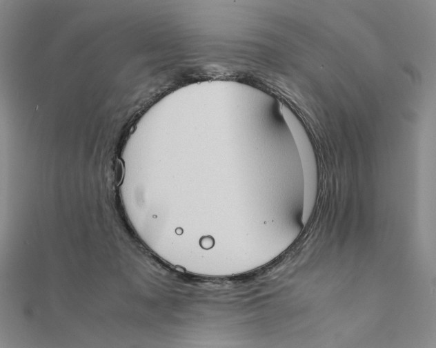 X0000111370317200908071219