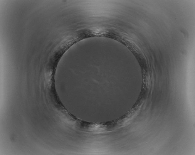 X0000111370319200908071219