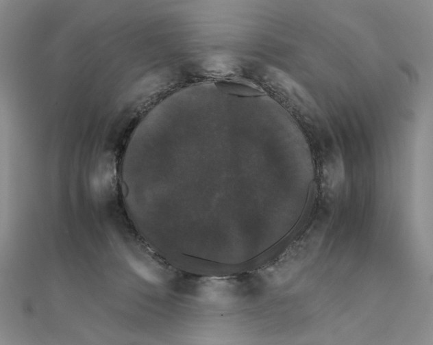 X0000111370320200908071219