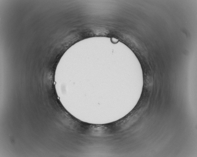 X0000111370321200908071219