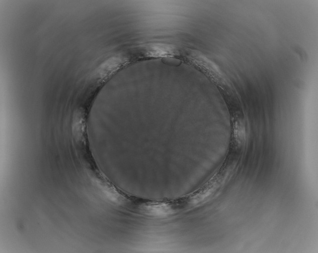 X0000111370322200908071219