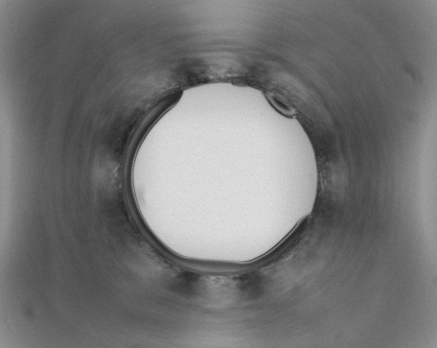 X0000111370327200908071219