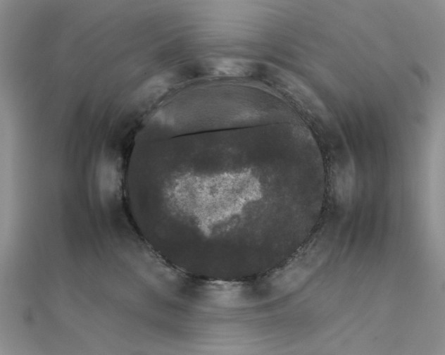 X0000111370328200908071219
