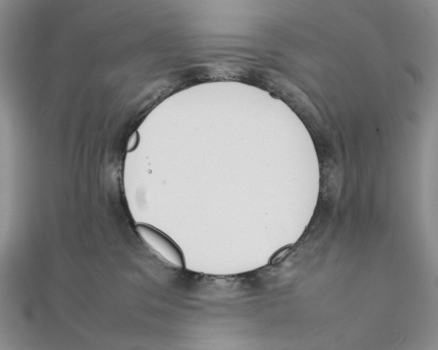 X0000111370329200908071219