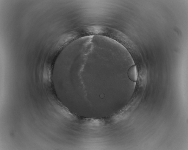 X0000111370330200908071219