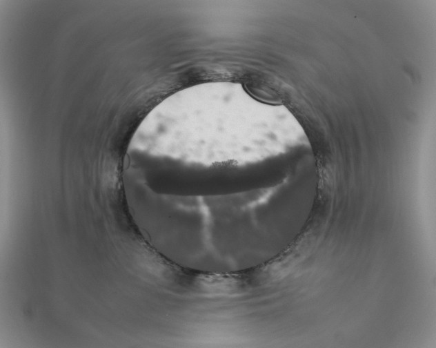 X0000111370331200908071219