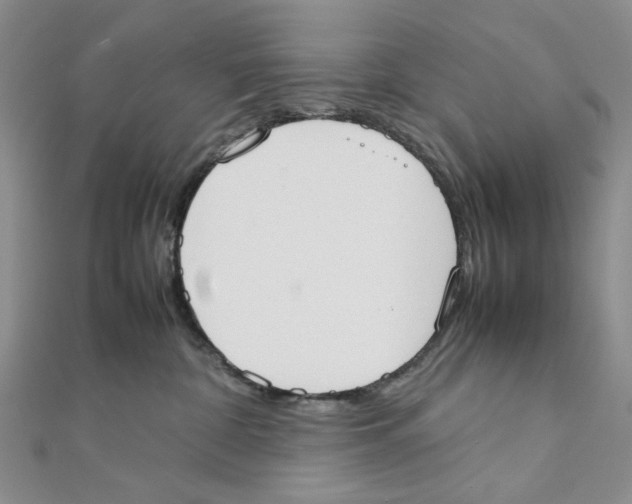 X0000111370332200908071219