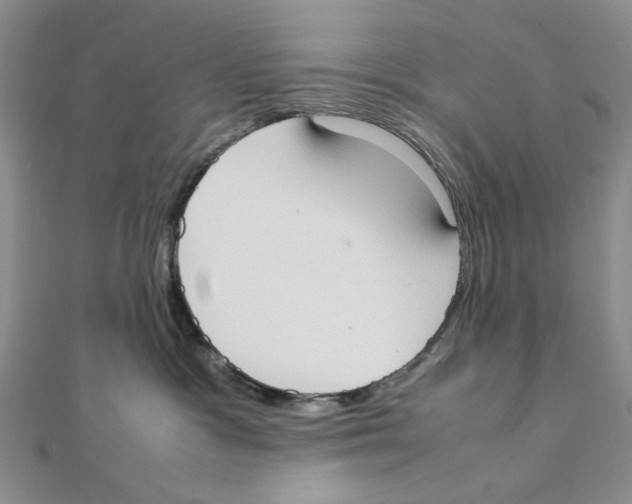 X0000111370333200908071219