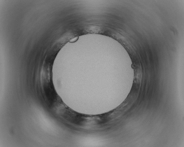 X0000111370334200908071219