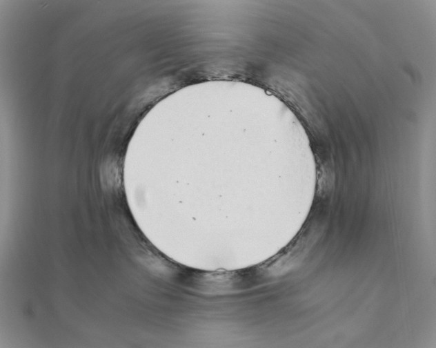 X0000111370335200908071219