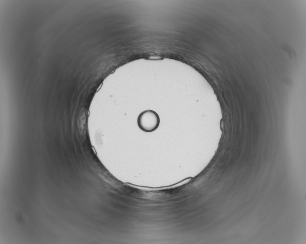 X0000111370336200908071219