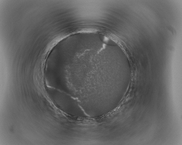 X0000111370337200908071218