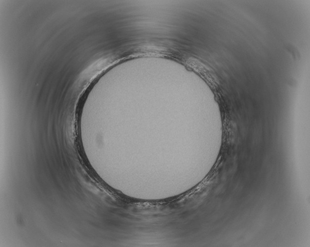 X0000111370338200908071218