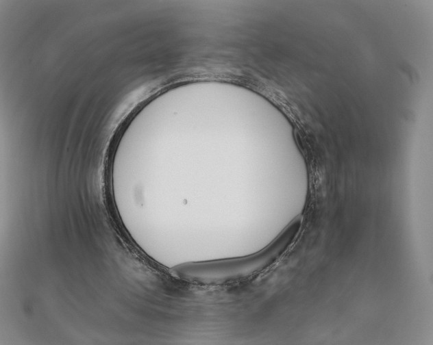 X0000111370340200908071218