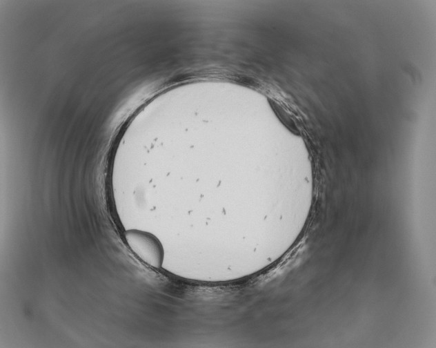 X0000111370341200908071219