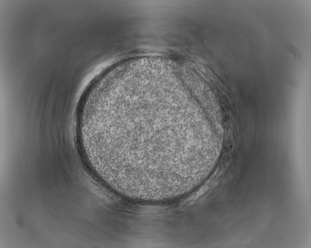 X0000111370342200908071219