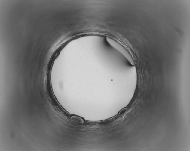 X0000111370344200908071219