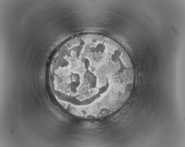 X0000111370346200908071219