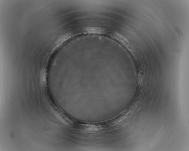 X0000111370347200908071219