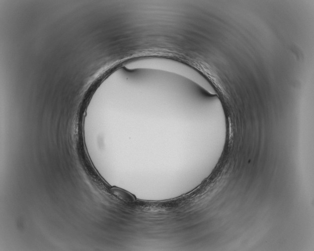 X0000111370348200908071219