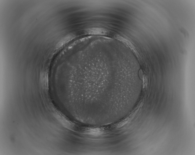 X0000111370349200908071219