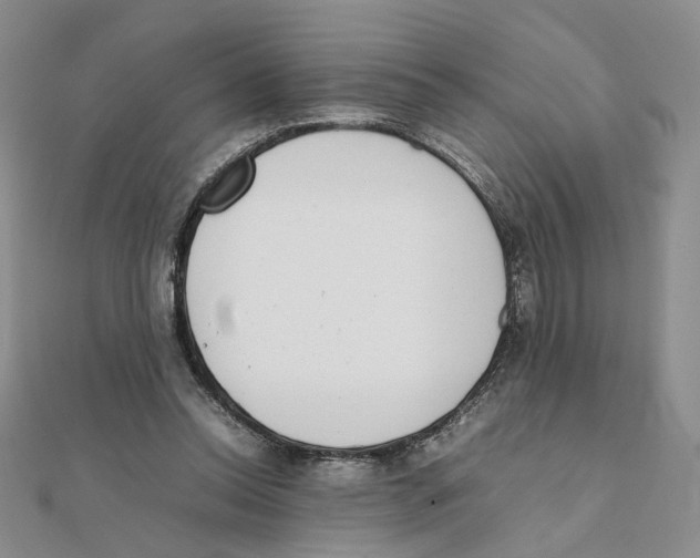 X0000111370350200908071219